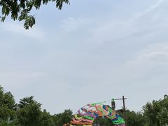 -瑶湖郊野森林公园