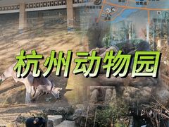 -杭州动物园