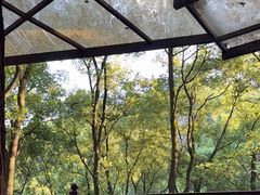 -巴倒烫陆派火锅山庄(南山总店)