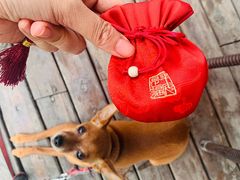 -丹世红酒庄·烧烤·团建·婚礼·水上运动