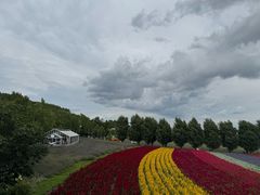 -富田农场
