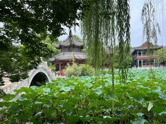 -莲池书院博物馆