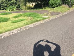 -张坝桂圆林公园