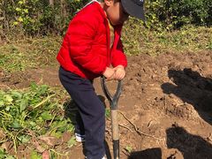 -前小桔亲子创意农场·草莓采摘·露营烧烤