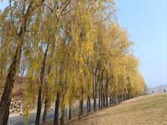 -玉渡山自然风景区