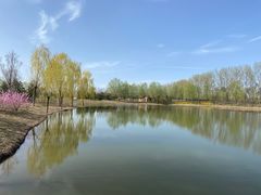 -东郊湿地公园