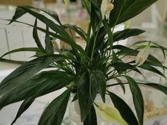 -美尔目眼科医院·近视手术·儿童近视(通州店)