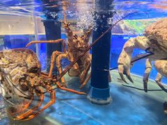 -新海渔港·胶东海鲜家常菜·家宴(奥体中心店)