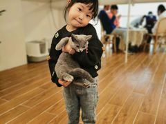 -猫友咖啡店(玉林西路店)