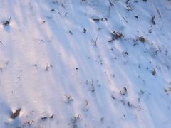 -楼外楼大刀肉传统火锅居(幸福街店)