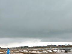-日照海滨国家森林公园