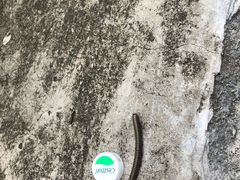 -鬼笑石后山停车场