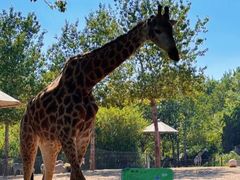 -大连森林动物园