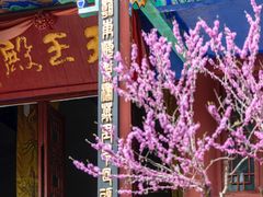 -皇藏峪国家森林公园