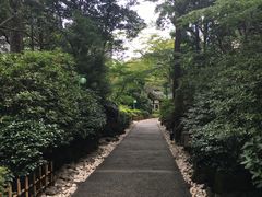 -新高轮格兰王子大酒店
