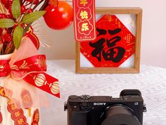 -Sony Store 索尼(上海淮海中路店)