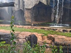-海南热带野生动植物园