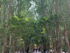 -艾提尕尔清真寺