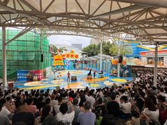 -海合安成都极地海洋公园