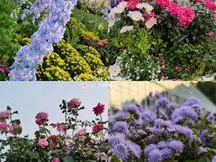 -深圳国际园林花卉博览园
