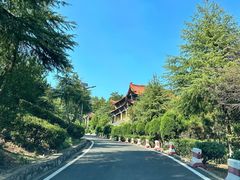 -游子山休闲旅游区