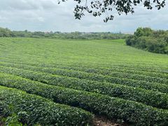 -敬亭山风景名胜区