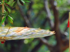 -人民公园(罗湖区)