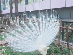 -昆明动物园
