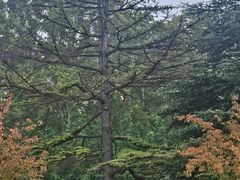 -河南省黄河迎宾馆