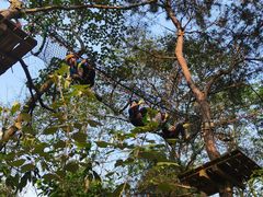 -芦仙山景区-飞越丛林探险乐园