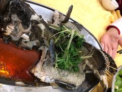 -蚝专家(北滘店)
