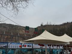 -青藏高原野生动物园
