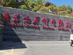 -青藏高原野生动物园