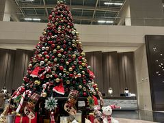 -上海外滩茂悦大酒店