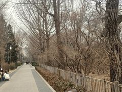 -迎泽公园