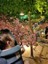 -酷嗒动物文化乐园(cutezoo西溪乐天城店)