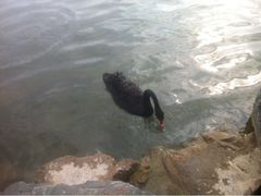 怡沁园度假村-上海怡沁园度假酒店