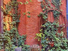 -Ocean's Table 欧舍