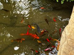 -南通洲际绿博园