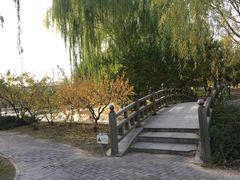 -望湖公园