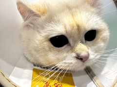 -派特宠物医院(圆融广场店)