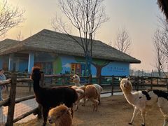 -祥源·阜阳生态乐园