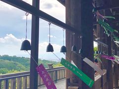 -有栖山 清光院 清水寺