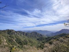 -大岭沟猕猴桃谷风景区