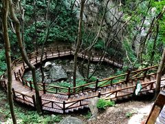 -大岭沟猕猴桃谷风景区