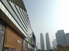 -合景·悠方(成都店)