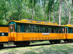 -合肥滨湖国家森林公园