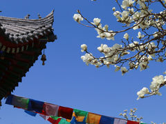 -西安市广仁寺