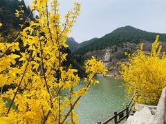 -黄花溪