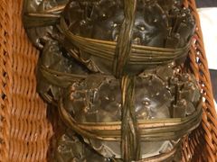 清蒸六月黄-蟹榭·本帮江浙菜·蟹宴(五角场合生汇商场店)